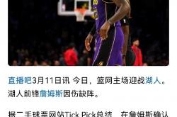 开云体育官网-詹姆斯的落败让粉丝遗憾