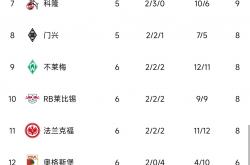 开云体育app-关于弗赖堡客场告捷，跃升积分榜前八的信息