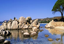 开云体育官网-波兰队横扫葡萄牙队，樊振东刷新纪录