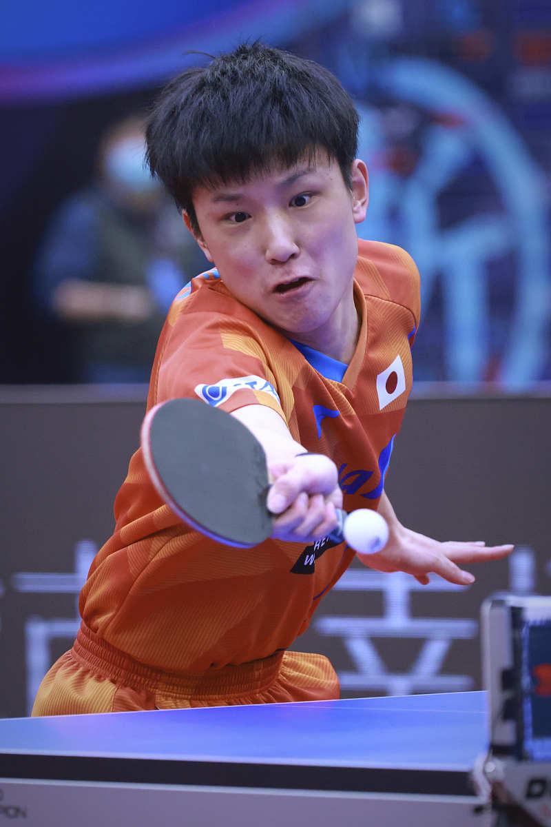 波兰乒乓球队血洗法国乒乓球队,张本智和送出助攻的简单介绍 波兰乒乓球队血洗法国乒乓球队,张本智和送出助攻的简单介绍